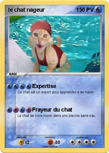 Pokemon le chat nageur