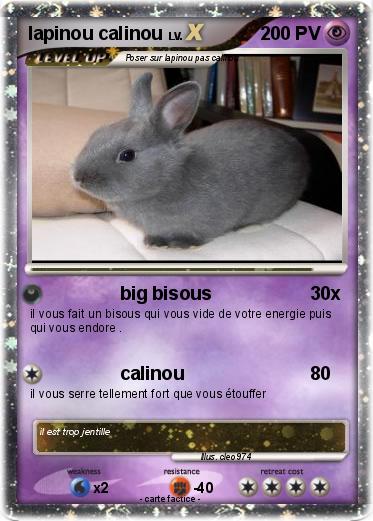 Pokemon lapinou calinou