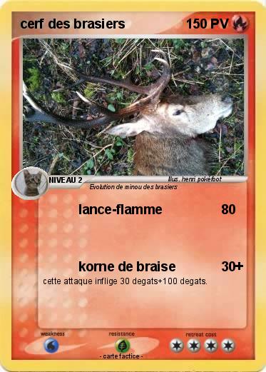 Pokemon cerf des brasiers
