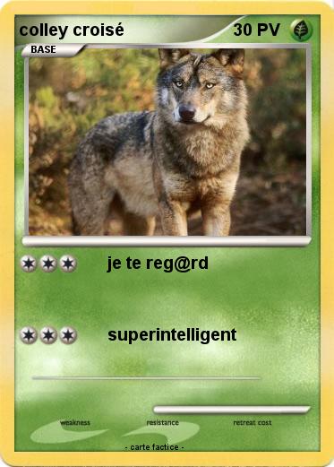 Pokemon colley croisé