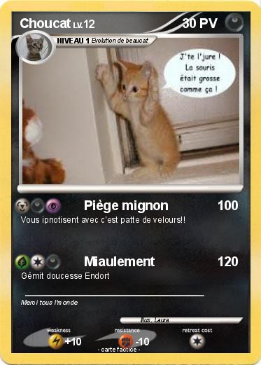 Pokemon Choucat