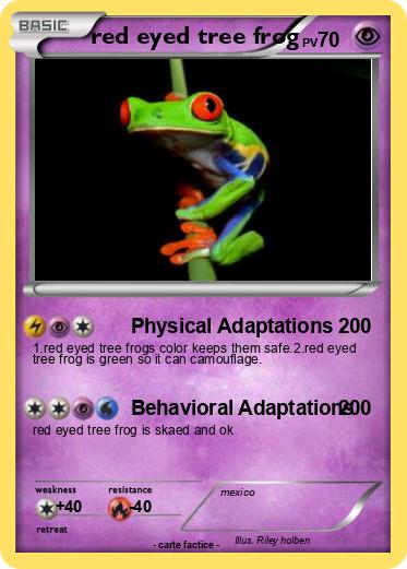 Pokemon red eyed tree frog