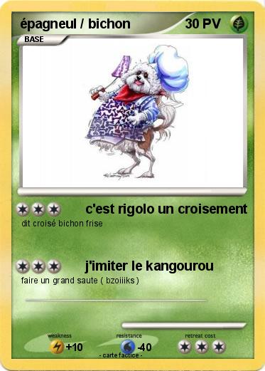 Pokemon épagneul / bichon