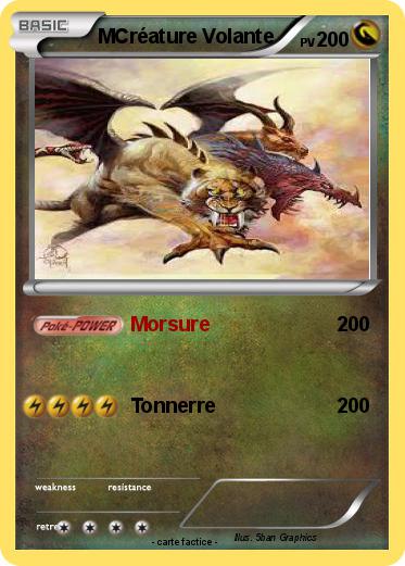 Pokemon MCréature Volante