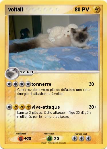 Pokemon voltali