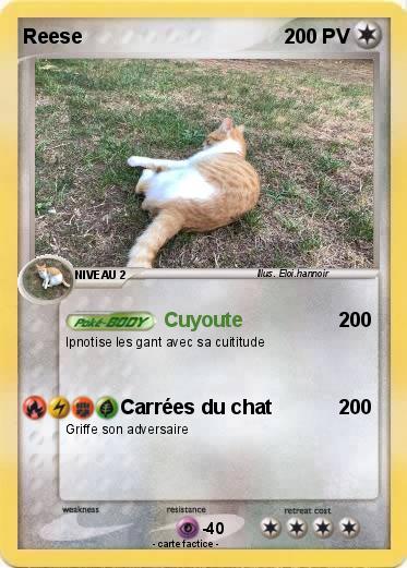 Pokemon Reese
