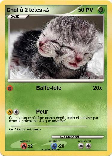 Pokemon Chat à 2 têtes