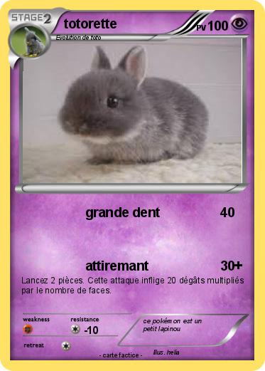 Pokemon totorette