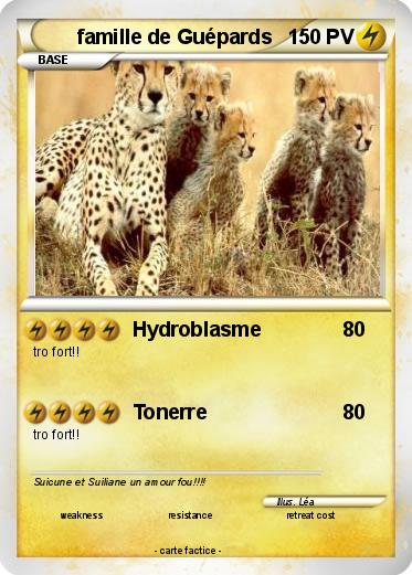 Pokemon famille de Guépards