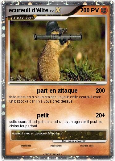 Pokemon ecureuil d'élite