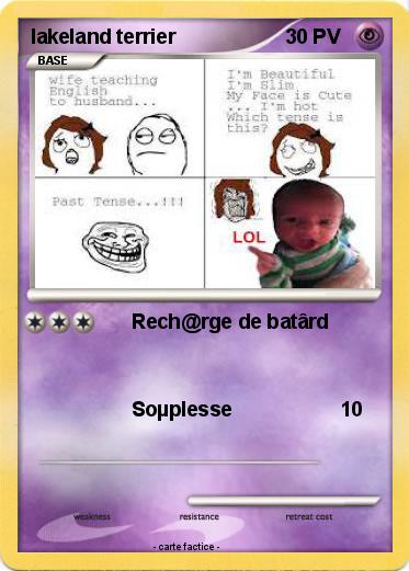 Pokemon lakeland terrier