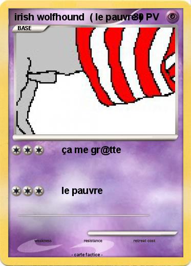 Pokemon irish wolfhound  ( le pauvre )