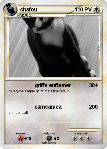 Pokemon chafou