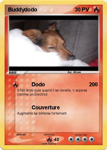 Pokemon Buddydodo