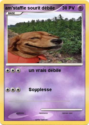 Pokemon am'staffie sourit débile