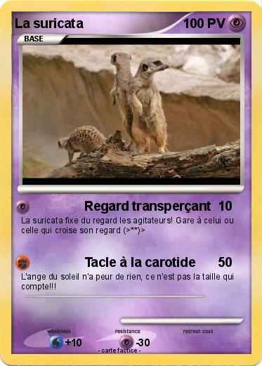 Pokemon La suricata