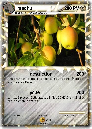 Pokemon rsachu