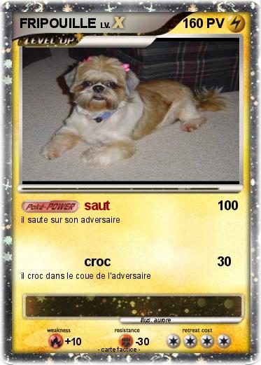 Pokemon FRIPOUILLE