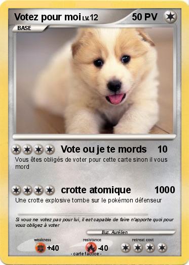 Pokemon Votez pour moi