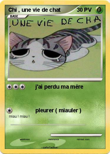 Pokemon Chi , une vie de chat