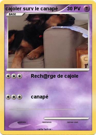 Pokemon cajoler surv le canapé