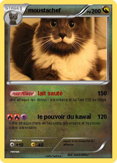 Pokemon moustachef