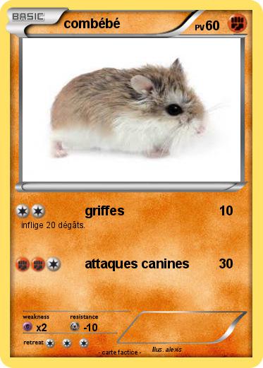 Pokemon combébé
