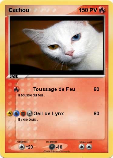 Pokemon Cachou 