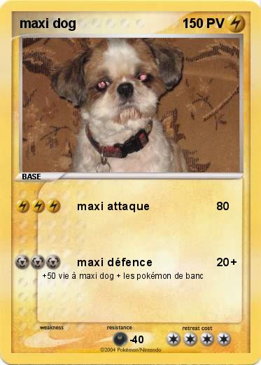 Pokemon maxi dog