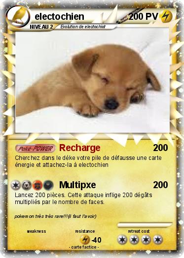 Pokemon electochien