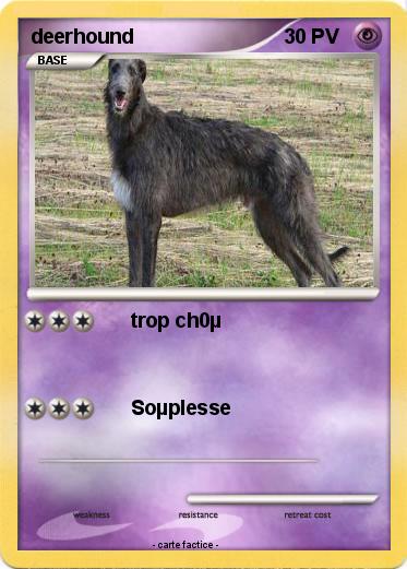 Pokemon deerhound
