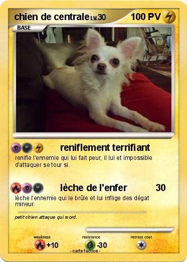 Pokemon chien de centrale