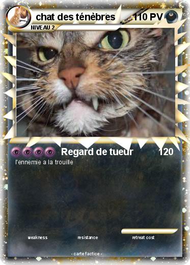 Pokemon chat des ténèbres