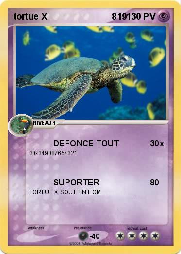 Pokemon tortue X                          819       