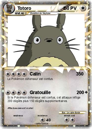 Pokemon Totoro                         4