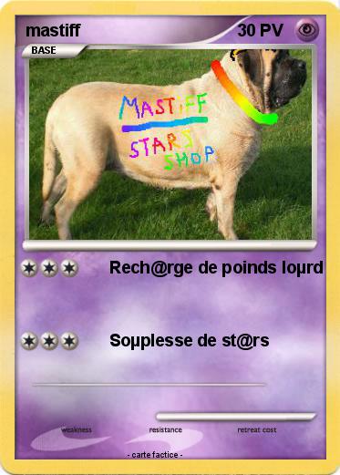 Pokemon mastiff