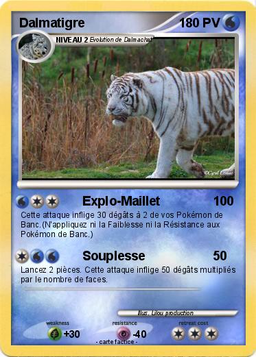 Pokemon Dalmatigre