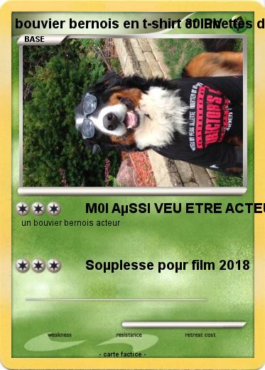 Pokemon bouvier bernois en t-shirt et lunettes de soleil