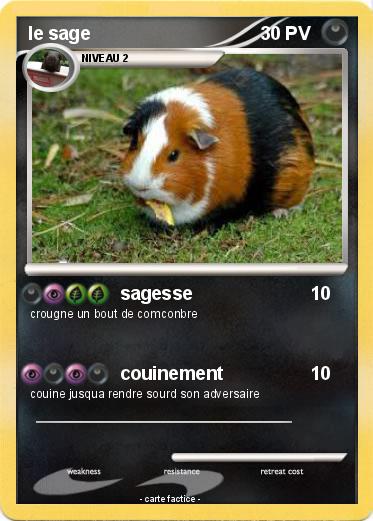 Pokemon le sage