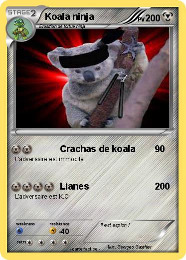 Pokemon Koala ninja