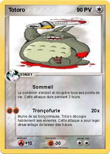 Pokemon Totoro 