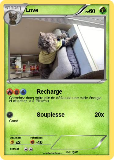 Pokemon Love