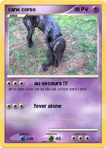 Pokemon cane corso