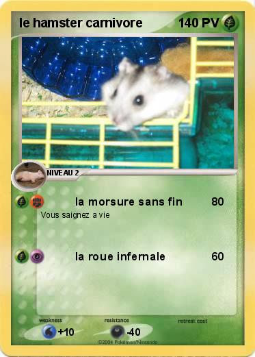Pokemon le hamster carnivore