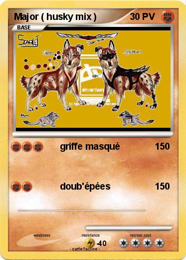 Pokemon Major ( husky mix )