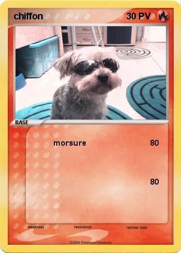 Pokemon chiffon
