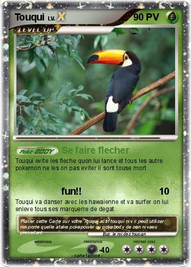 Pokemon Touqui