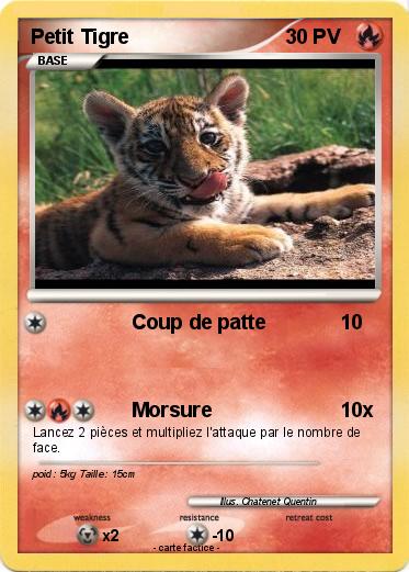 Pokemon Petit Tigre