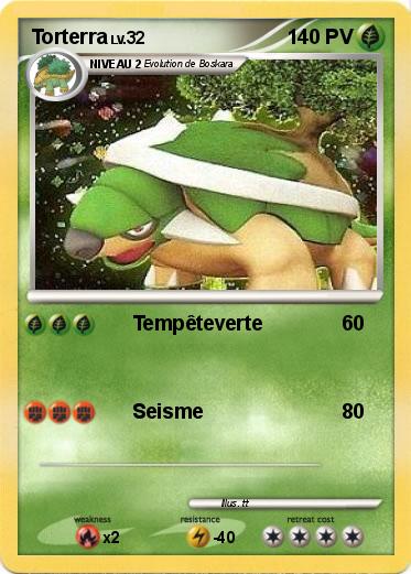 Pokemon Torterra