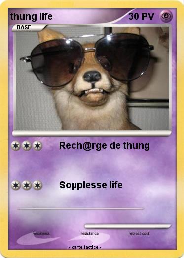 Pokemon thung life